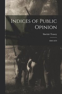 bokomslag Indices of Public Opinion