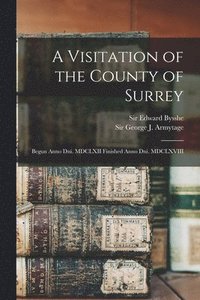 bokomslag A Visitation of the County of Surrey