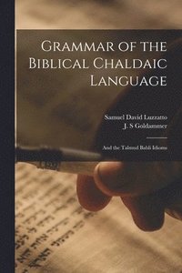 bokomslag Grammar of the Biblical Chaldaic Language