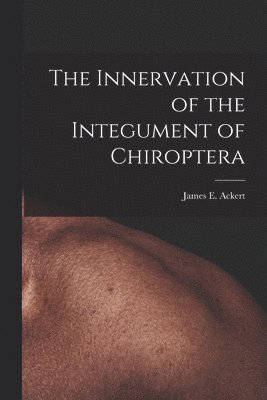 bokomslag The Innervation of the Integument of Chiroptera