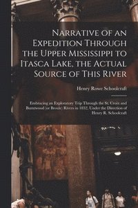 bokomslag Narrative of an Expedition Through the Upper Mississippi to Itasca Lake, the Actual Source of This River [microform]
