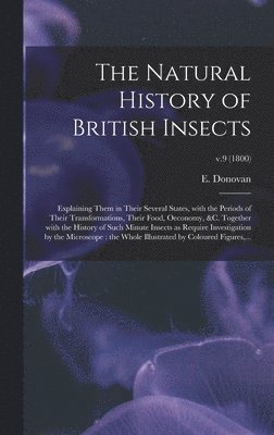 bokomslag Natural History of British Insects