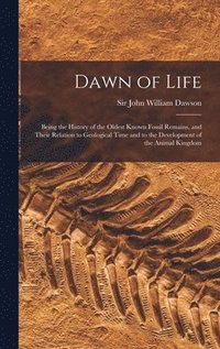 bokomslag Dawn of Life