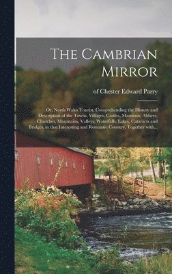 The Cambrian Mirror 1