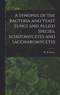 bokomslag A Synopsis of the Bacteria and Yeast Fungi and Allied Species, Schizomycetes and Saccharomycetes