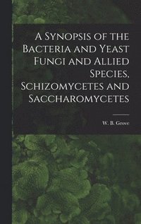 bokomslag Synopsis of the Bacteria and Yeast Fungi and Allied Species, Schizomycetes and Saccharomycetes