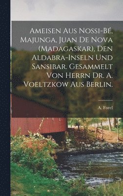 A Forel, A. Forel - Ameisen Aus Nossi-Bé, Majunga, Juan De Nova (Madagaskar), Den Aldabra-Inseln Und Sansibar. Gesammelt Von Herrn Dr. A. Voeltzkow Aus Berlin., Inbunden