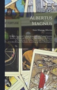 bokomslag Albertus Magnus