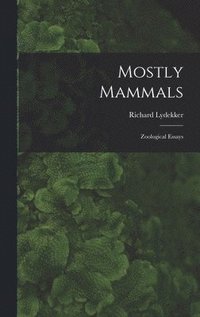 bokomslag Mostly Mammals [microform]
