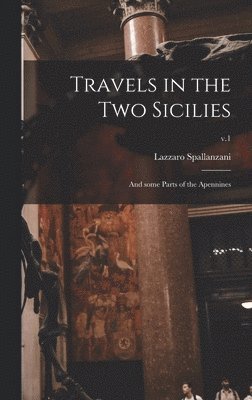 bokomslag Travels in the Two Sicilies