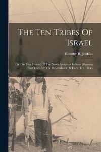 bokomslag The Ten Tribes Of Israel