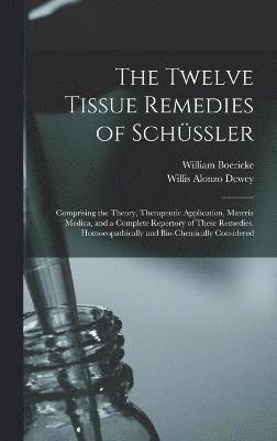 bokomslag The Twelve Tissue Remedies of Schssler