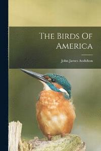 bokomslag The Birds Of America
