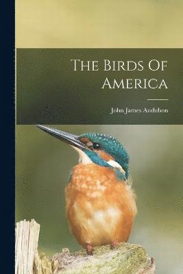 bokomslag The Birds Of America