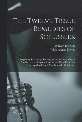 bokomslag The Twelve Tissue Remedies of Schssler