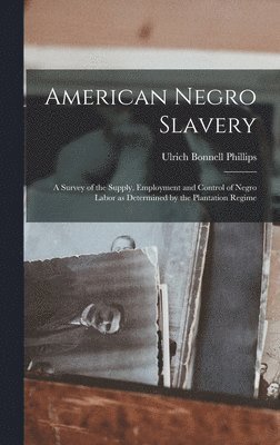 bokomslag American Negro Slavery