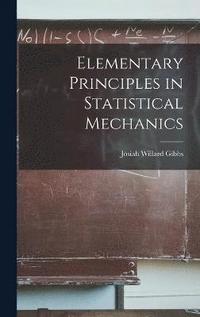 bokomslag Elementary Principles in Statistical Mechanics