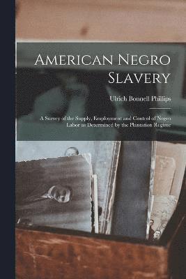 bokomslag American Negro Slavery
