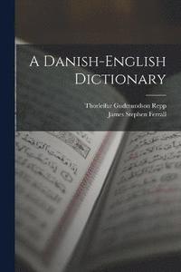 bokomslag A Danish-English Dictionary