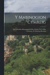 bokomslag Y Mabinogion Cymreig