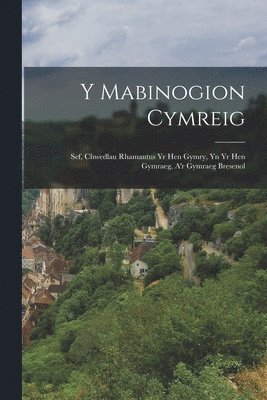 bokomslag Y Mabinogion Cymreig