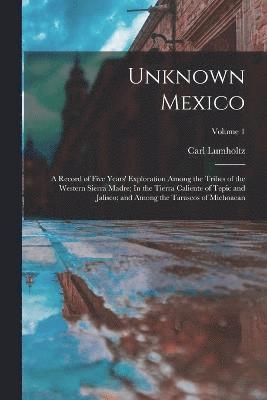 Unknown Mexico 1