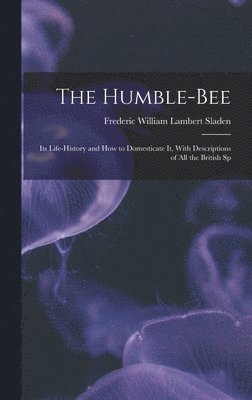 The Humble-bee 1