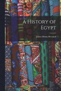 bokomslag A History of Egypt