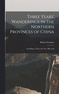 bokomslag Three Years' Wanderings in the Northern Provinces of China