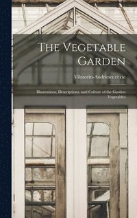 bokomslag The Vegetable Garden; Illustrations, Descriptions, and Culture of the Garden Vegetables
