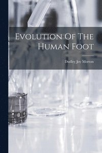 bokomslag Evolution Of The Human Foot