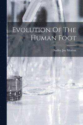 Evolution Of The Human Foot 1