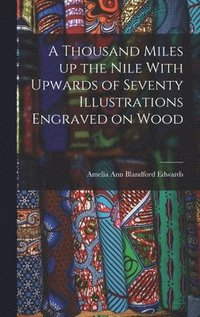 bokomslag A Thousand Miles up the Nile With Upwards of Seventy Illustrations Engraved on Wood