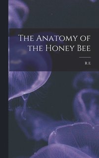 bokomslag The Anatomy of the Honey Bee
