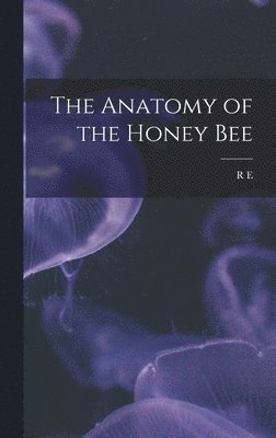 Anatomy of the Honey Bee