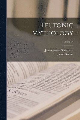 bokomslag Teutonic Mythology; Volume 4