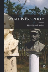 bokomslag What is Property
