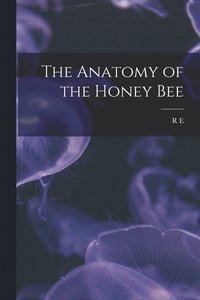 bokomslag The Anatomy of the Honey Bee