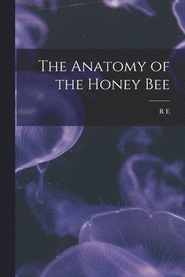 Anatomy of the Honey Bee