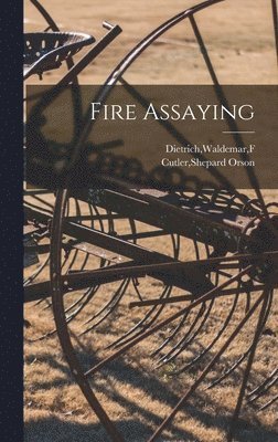 bokomslag Fire Assaying