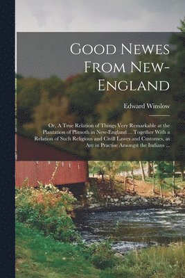 bokomslag Good Newes From New-England