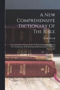 bokomslag A New Comprehensive Dictionary Of The Bible