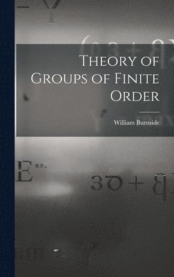 bokomslag Theory of Groups of Finite Order