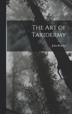 John Rowley - Art of Taxidermy, Inbunden