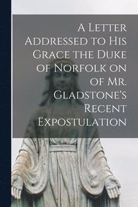 bokomslag A Letter Addressed to his Grace the Duke of Norfolk on of Mr. Gladstone's Recent Expostulation