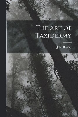 bokomslag Art of Taxidermy