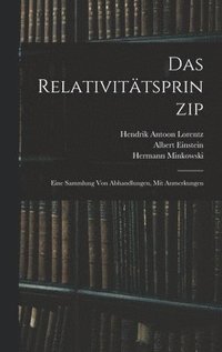 bokomslag Das Relativittsprinzip