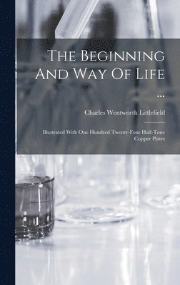 bokomslag Beginning And Way Of Life ...