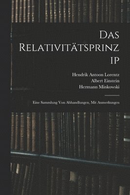 bokomslag Das Relativittsprinzip