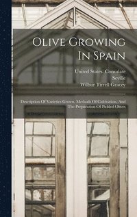 bokomslag Olive Growing In Spain